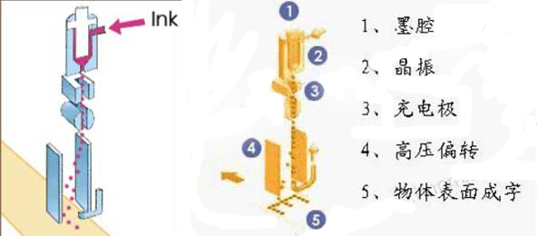 �B�m(x��)ʽ���a�C(j��)����ԭ��D